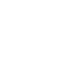 Inc. 500